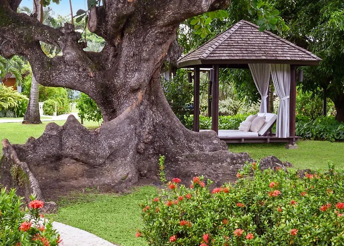 Sandals Halcyon Beach All Inclusive Adults Only